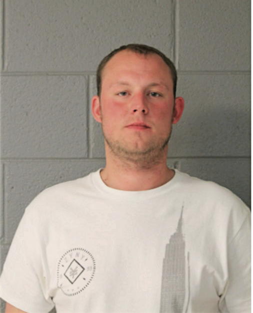 MATTHEW P LARKNER, Cook County, Illinois