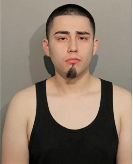 OMAR A LOPEZ, Cook County, Illinois
