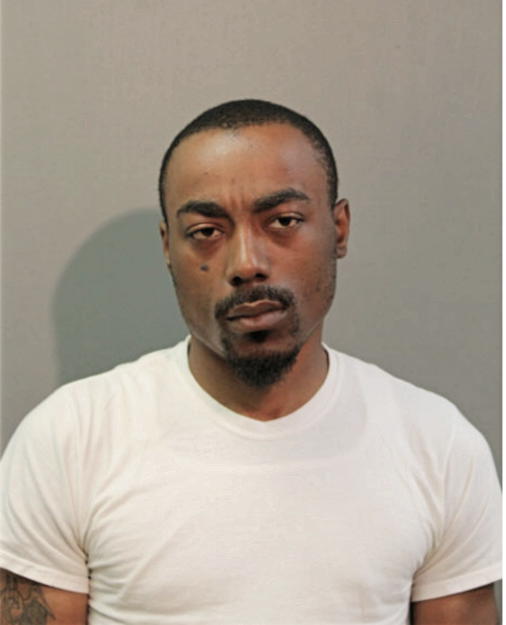 DAVID J MORGAN, Cook County, Illinois