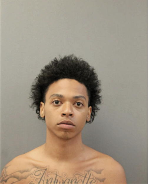 KEVIN L PAGE, Cook County, Illinois