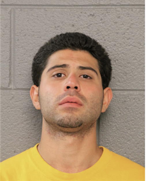 NESTOR J ROSALES, Cook County, Illinois