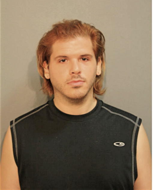 ANTHONY J SANCHEZ, Cook County, Illinois