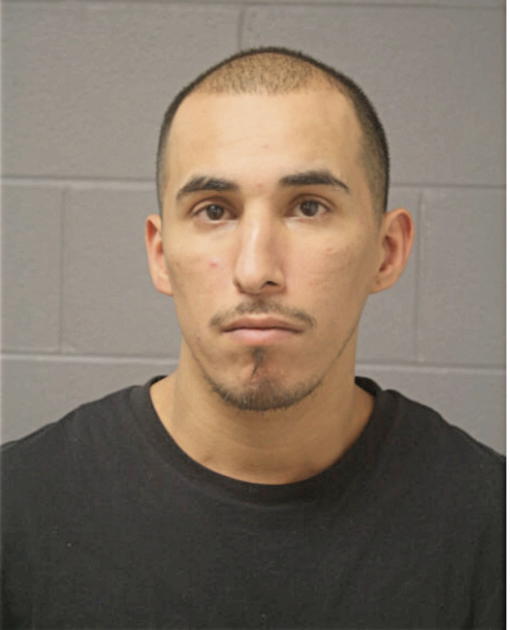 SERGIO SAUCEDA, Cook County, Illinois