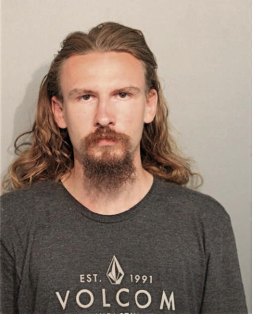 ALEXANDR S SHOCKMAN, Cook County, Illinois