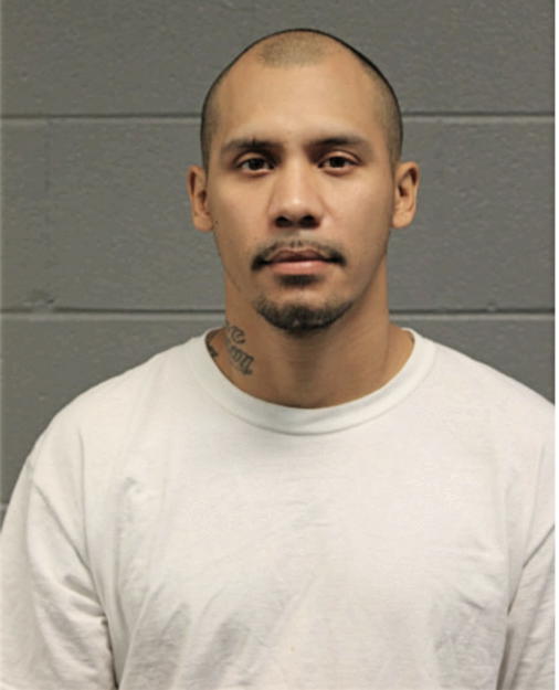 OMAR L ZAMORA, Cook County, Illinois
