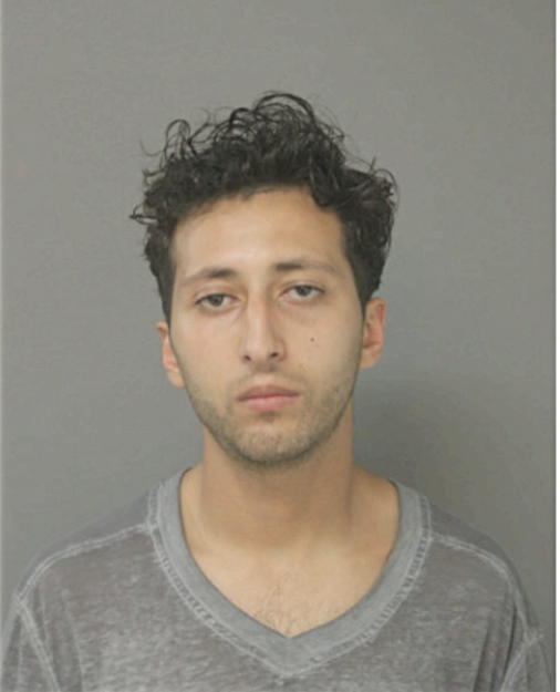 OSSAM ABOYKIN, Cook County, Illinois