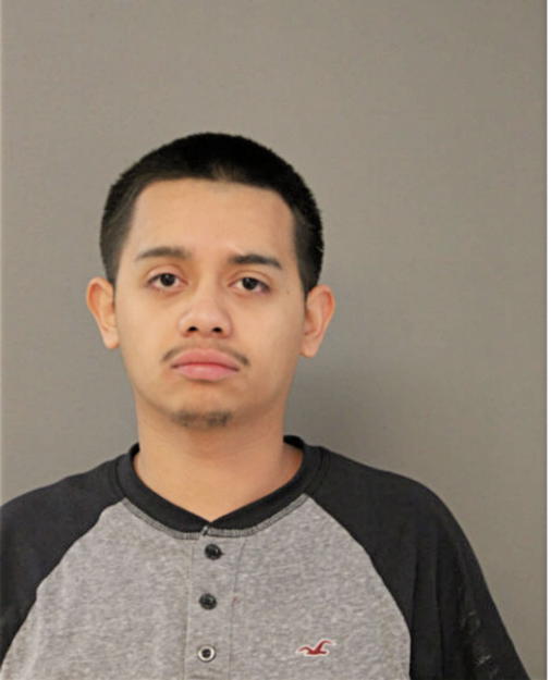 ALAN E ALCALA, Cook County, Illinois