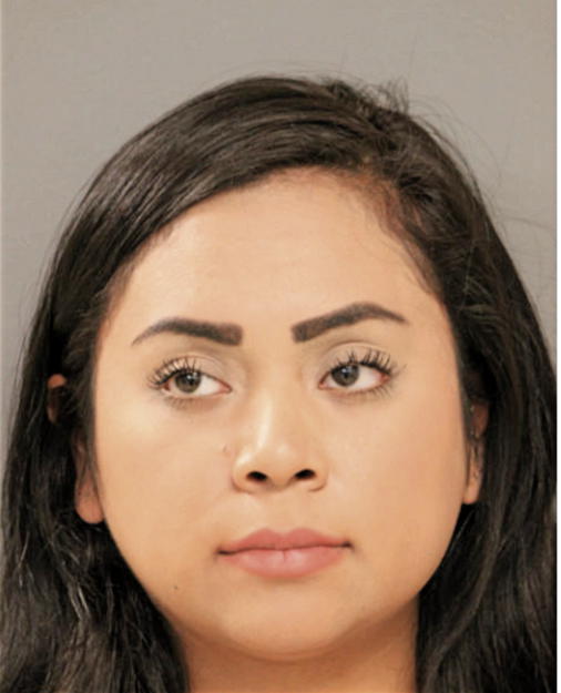 SUSETTE ARRIETA, Cook County, Illinois