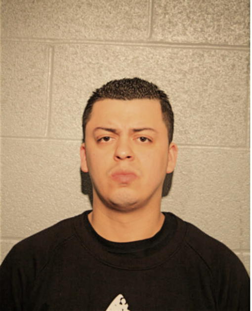 LUIS F FLOREZ, Cook County, Illinois