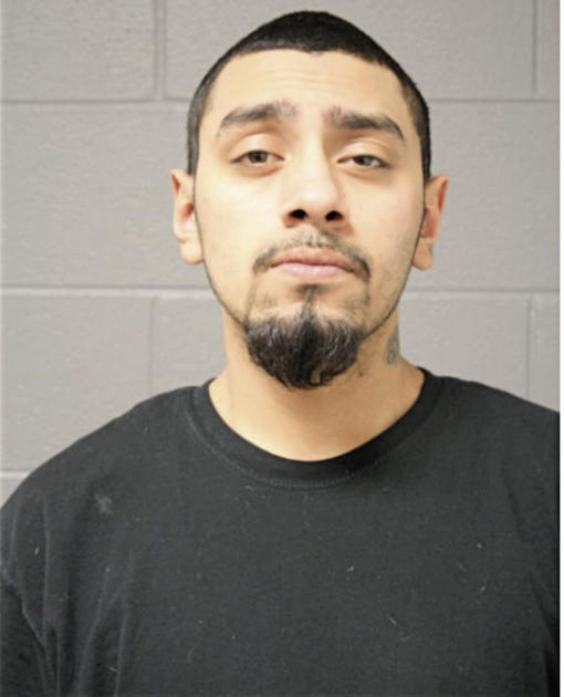 RICARDO I GARCIA, Cook County, Illinois
