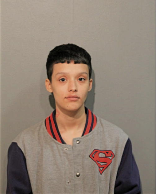 ROSEANNA GONZALEZ, Cook County, Illinois