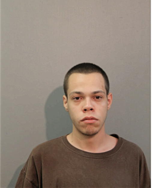 JOSE L HERNANDEZ, Cook County, Illinois