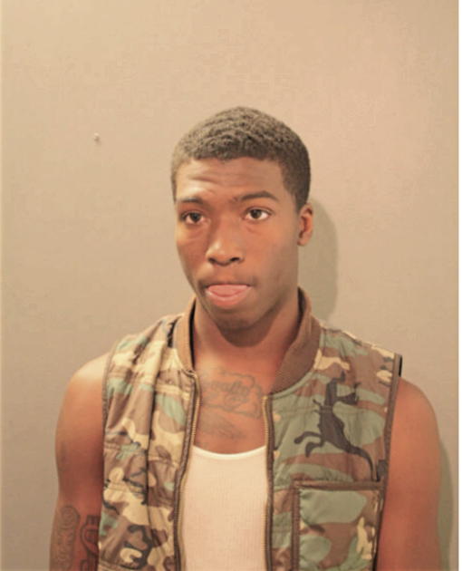 ANDRE D JOHNSON, Cook County, Illinois
