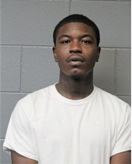 LEANTAE D JOHNSON, Cook County, Illinois