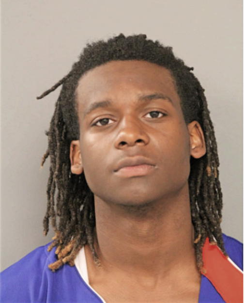 DEMETRIUS D LANE, Cook County, Illinois