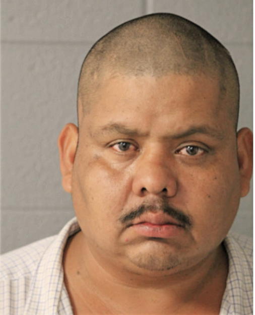 MARCO ANTONIO MAYORGA CALEL, Cook County, Illinois