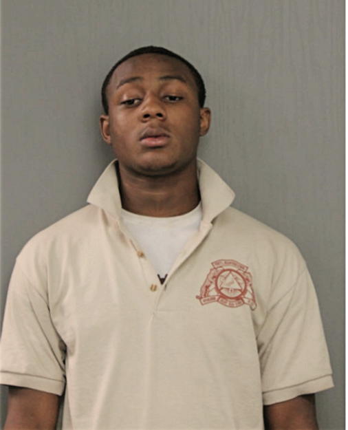 RAY B OWENS, Cook County, Illinois