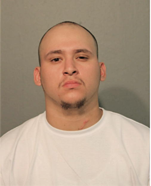 REYMUNDO D ROQUE, Cook County, Illinois