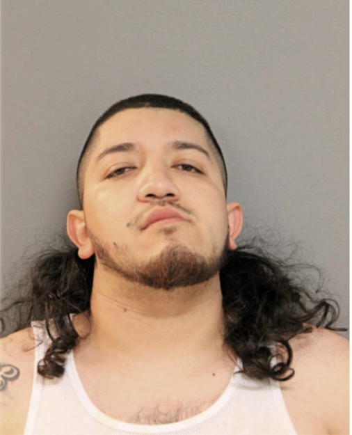 LUIS D SANCHEZ, Cook County, Illinois