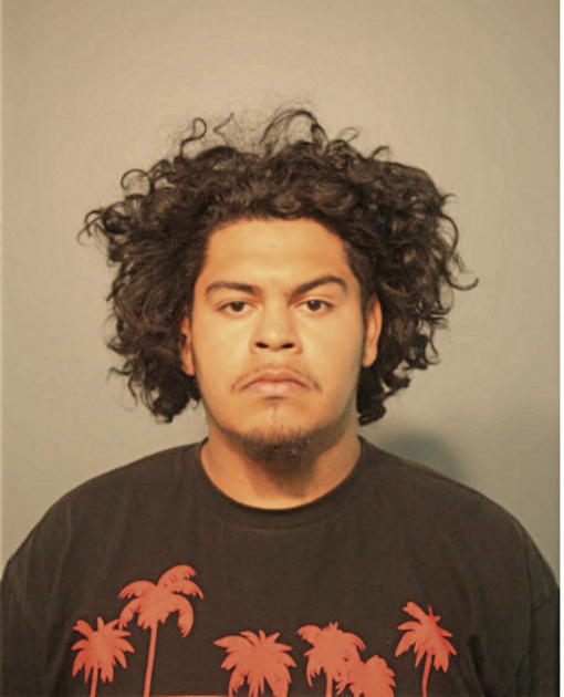JUAN A SEPULVEDA, Cook County, Illinois