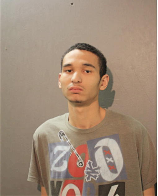 YVES D WATSON, Cook County, Illinois