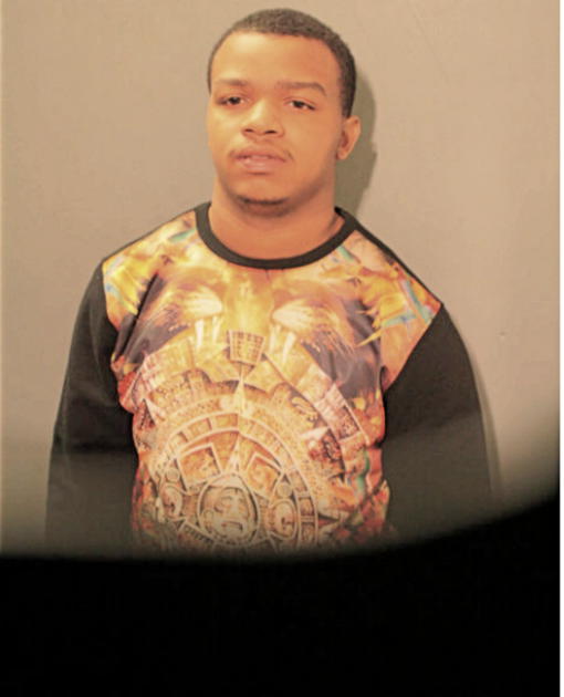 MICHAEL M WHITE, Cook County, Illinois