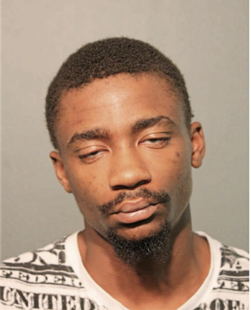 KAMERON D ALSTON, Cook County, Illinois