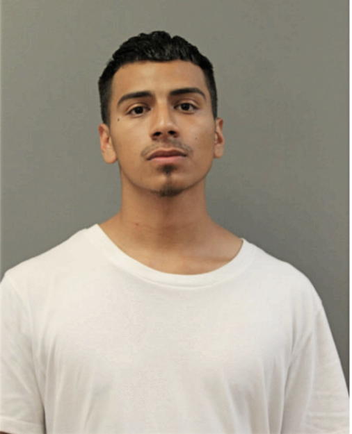 OMAR ARRIETA, Cook County, Illinois