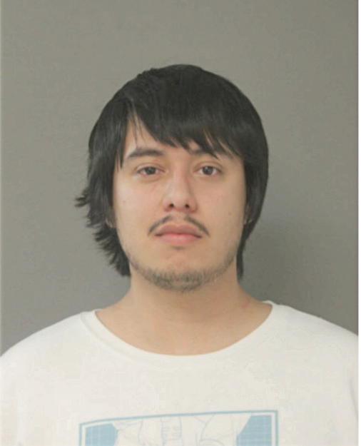 BRANDO ARROYO, Cook County, Illinois
