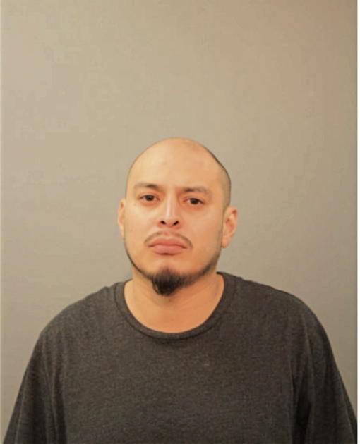 MIGUEL A BAHENA, Cook County, Illinois