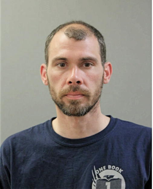 ALBERT E BIEDRON, Cook County, Illinois