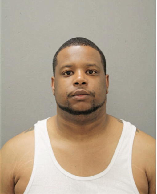 PAUL A BRANSON, Cook County, Illinois