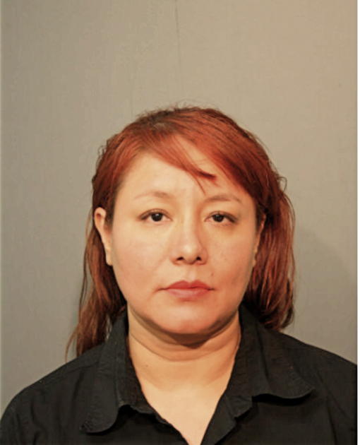 IRMA ENRIQUEZ, Cook County, Illinois