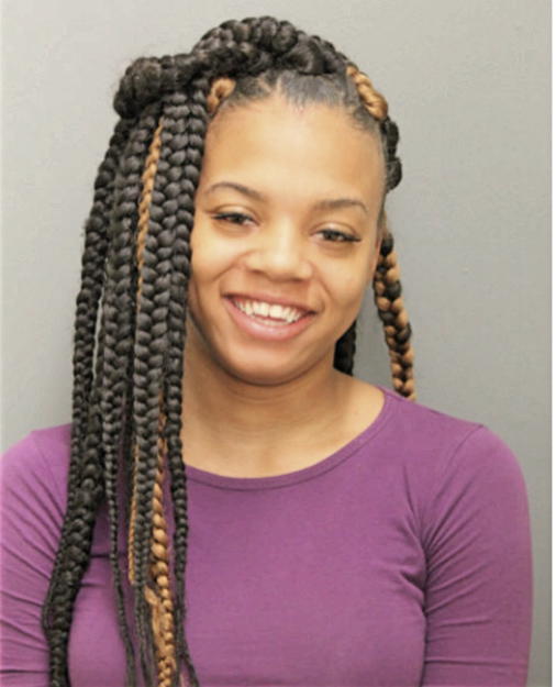 AMY L FLEMING, Cook County, Illinois