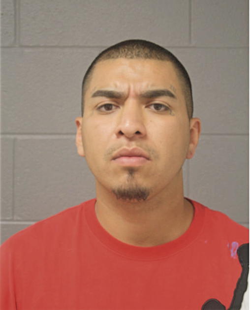 VICTOR FLORES, Cook County, Illinois