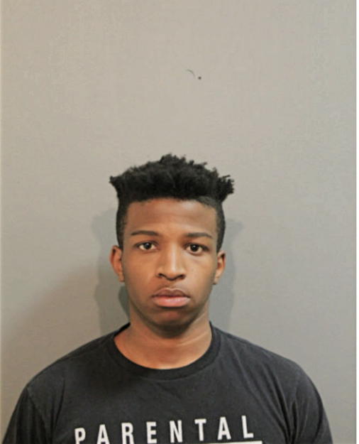 CHRISTOPHER A HILL, Cook County, Illinois