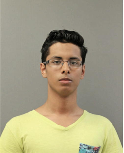 FERNANDO A JACINTO, Cook County, Illinois