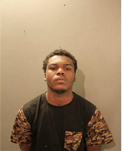 DARICE A LIVINGSTON, Cook County, Illinois