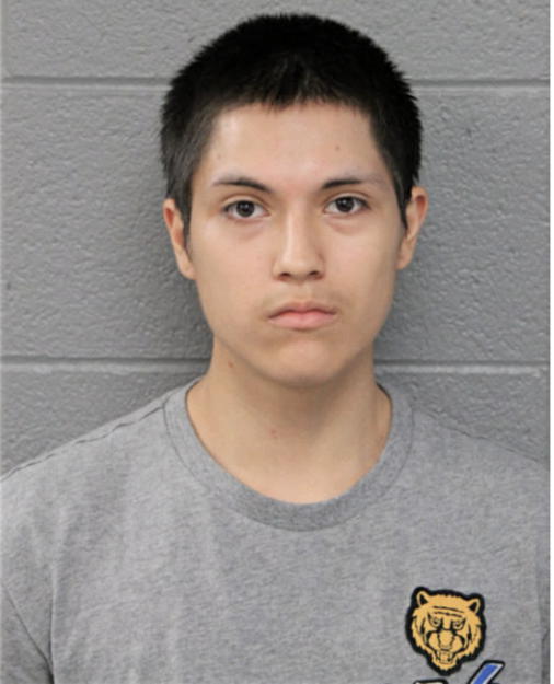 FABIAN MENDOZA, Cook County, Illinois
