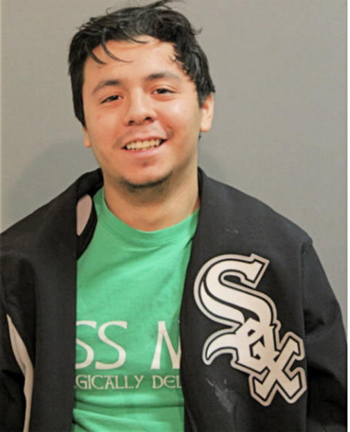 MATTHEW A MORALES, Cook County, Illinois