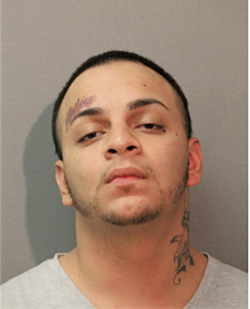 CHRISTIAN E ORTIZ, Cook County, Illinois
