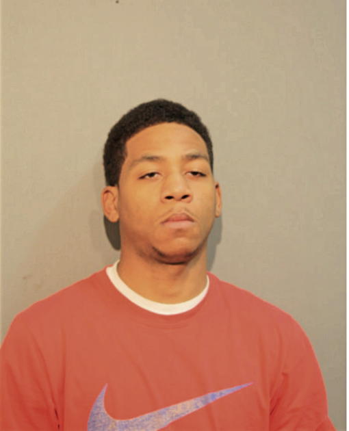 RYAN K PAYNE, Cook County, Illinois