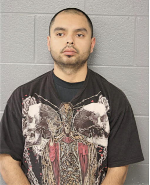 LUIS REYNOSO, Cook County, Illinois