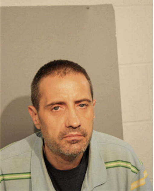VLADAN RUZIC, Cook County, Illinois