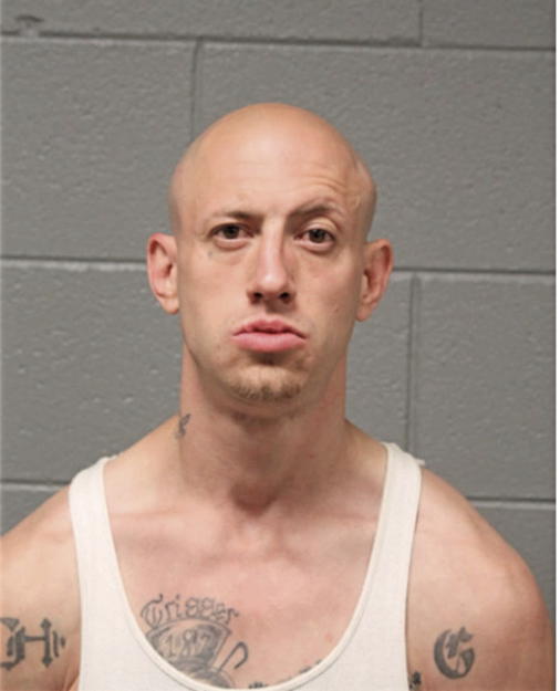 WILLIAM RYZNER, Cook County, Illinois