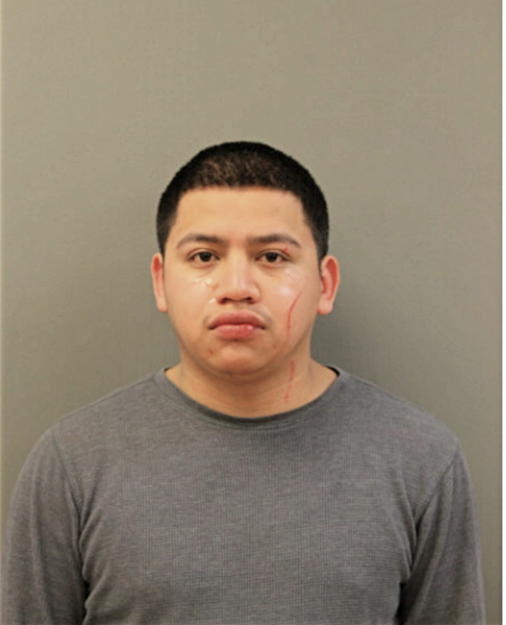 FERNANDO VALLADARES, Cook County, Illinois