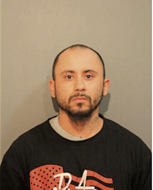 RAYMOND D VASQUEZ, Cook County, Illinois