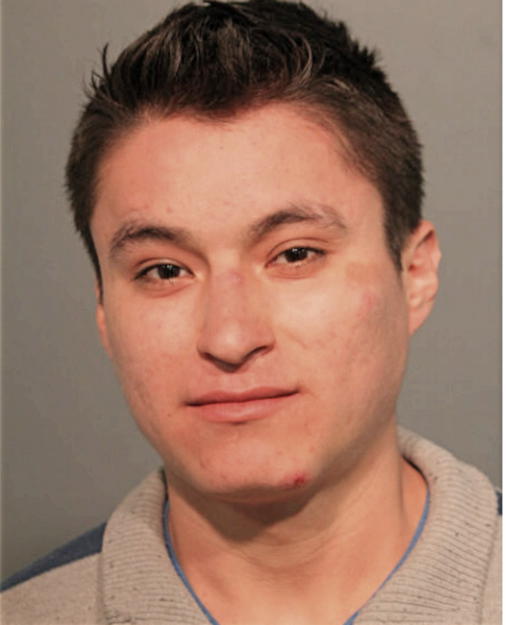 MIGUEL VIVEROS, Cook County, Illinois