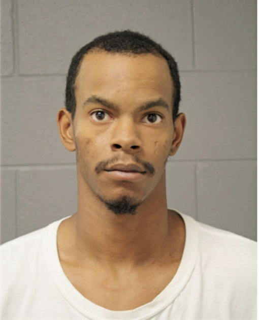 JULIAN C W ANDERSON, Cook County, Illinois