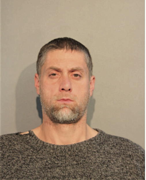 SHANE R WATTS, Cook County, Illinois